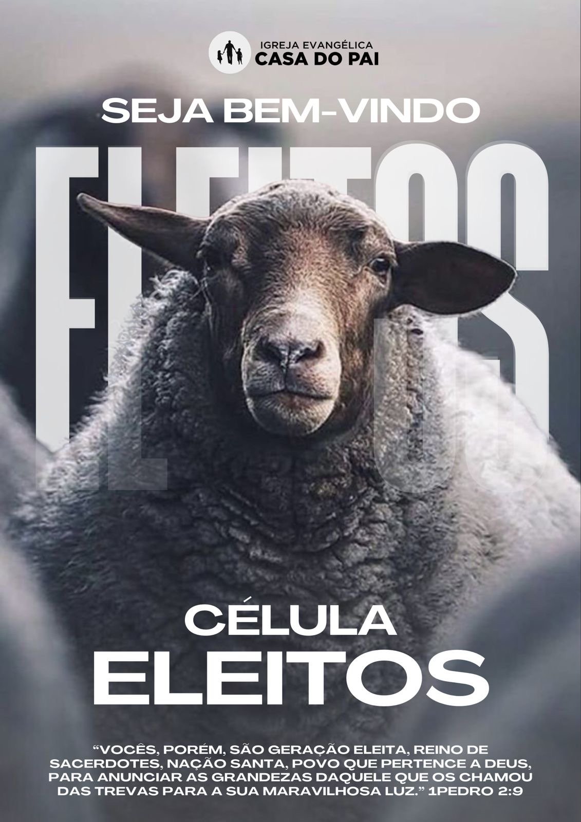 Foto da ELEITOS